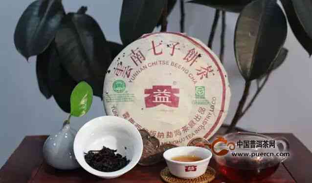 大益普洱茶的全面解析：品种、产地、制作工艺、品质及饮用方法等详细介绍