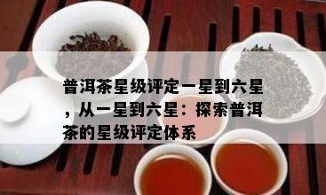 探究六星普洱茶的市场价值与未来趋势