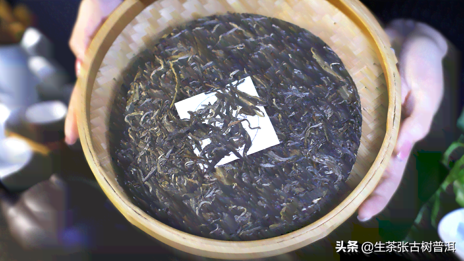 七年熟普洱茶价位