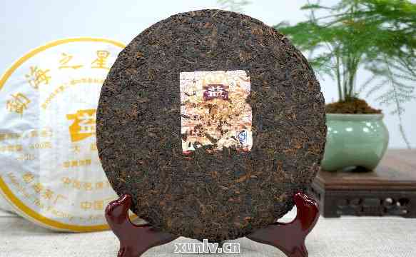 七子茶饼普洱茶：生熟对比，哪个更值得收藏与品鉴？