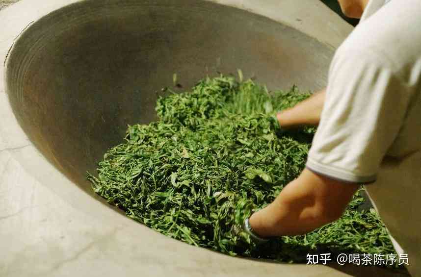 铁观音制作普洱茶的过程：详细步骤与技巧