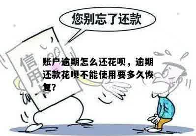 逾期还款几天后，账户无法使用