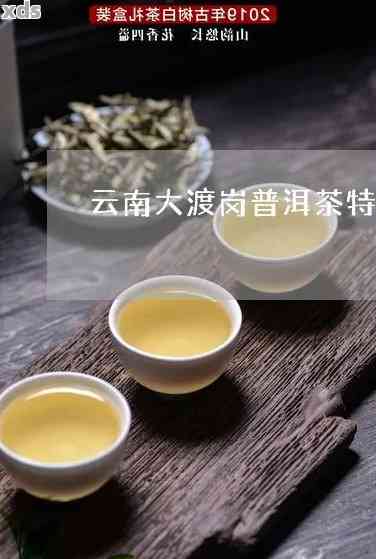 版纳清和茗普洱茶：品鉴与收藏攻略