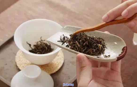 从选茶到冲泡：一份全面指南，教你如何正确冲泡普洱茶茶饼