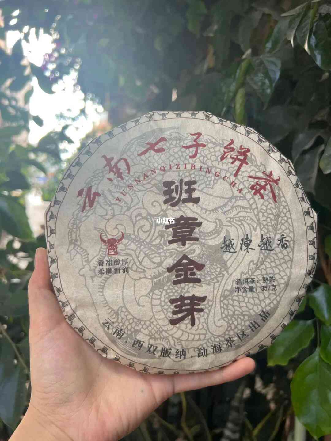 金班章普洱茶09