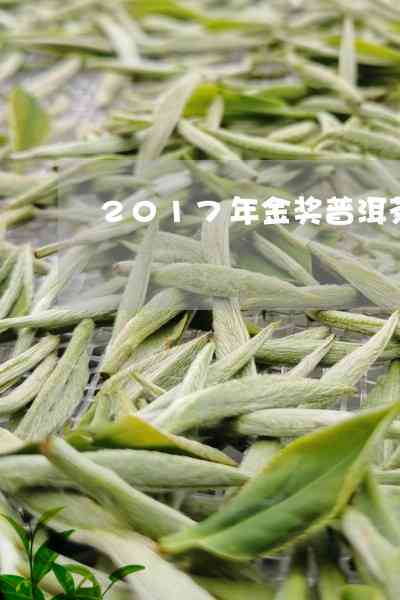 试喝新茶！9号金奖普洱茶一份包邮，口感与品质保证，快来尝！