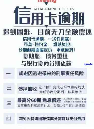 邮政信用卡逾期协商个性化分期全攻略：解决用户搜索的各类疑问和问题