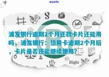 浦发逾期6天还了更低还款第二天可以用吗安全吗