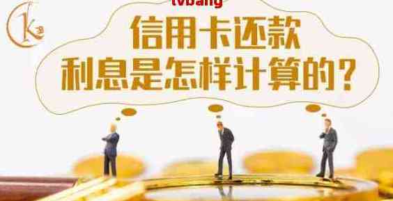 2020年信用卡还款攻略：全面解决用户疑问，让你轻松清零无压力