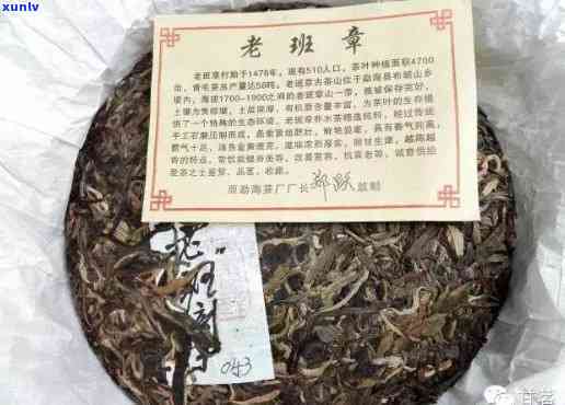 勐海县老班章茶厂：高品质茶叶的源头，探索茶叶制作工艺与品尝体验