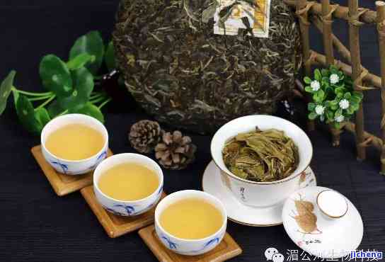 普洱茶品鉴：春茶与咏春拳的完美结合——探索普洱茶的魅力与功效