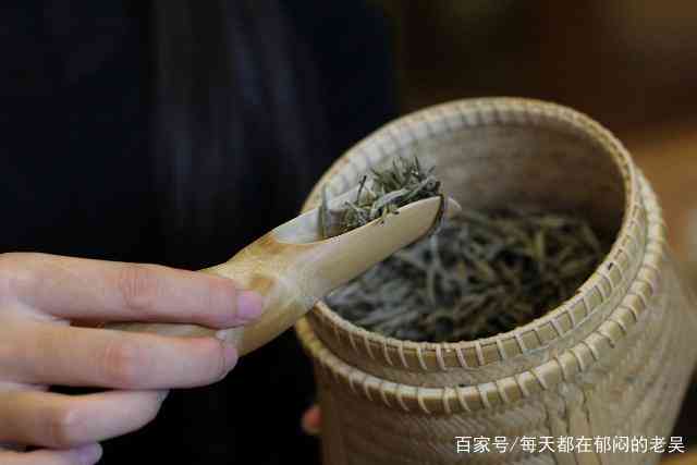 咏春茶是什么意思？如何泡制咏春茶叶？了解咏春茶厂与咏春茶的关系。