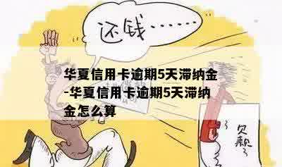 华信用卡逾期滞纳金