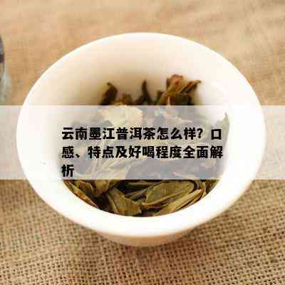 云南墨江普洱茶的独特风味与品鉴技巧