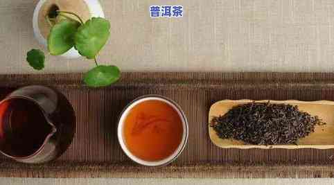 普洱茶与黑茶对比：哪一种茶的养气功效更显著？