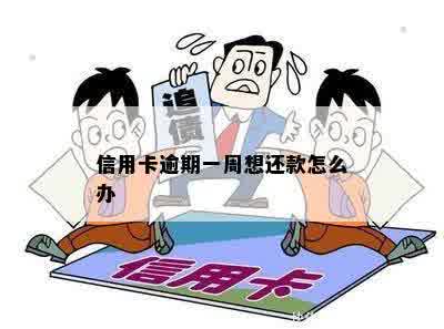 信用卡逾期1周怎么办