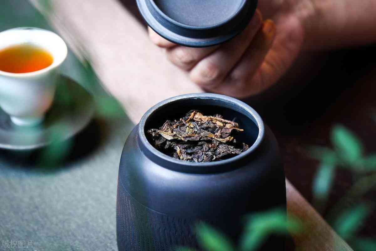 紫砂罐存普洱茶的完整指南：如何选购、使用和保养茶叶，确保其品质和口感