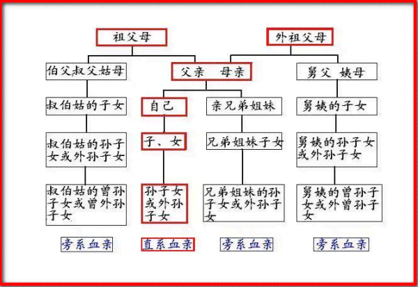 政审直系亲属不合格：原因分析与解决办法，全面了解影响因素及应对措