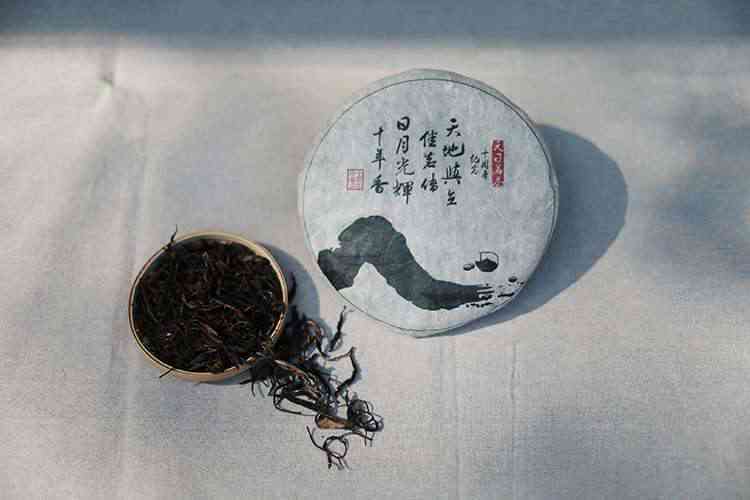 古树茶普洱茶作品