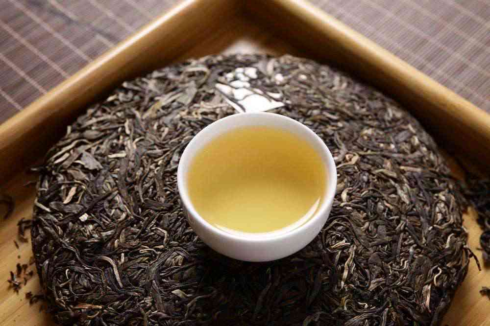 2010年的普洱茶七子饼茶