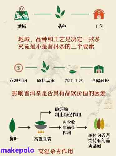 云南普洱茶制作工艺详解：从大益到生茶的完整步骤与流程