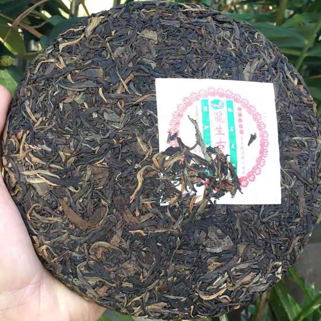 陈香普洱茶生茶饼