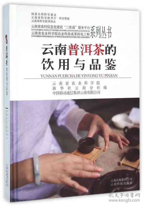 云南普洱茶的饮用与品鉴指南PDF