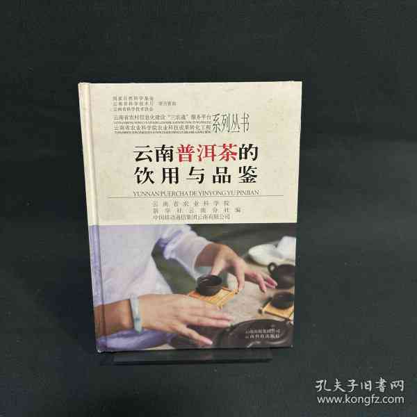 云南普洱茶的饮用与品鉴指南PDF