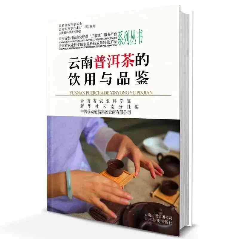 云南普洱茶的饮用与品鉴指南PDF