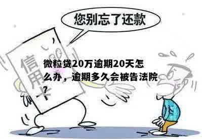 微粒贷欠款20万，逾期多久会被法院起诉？