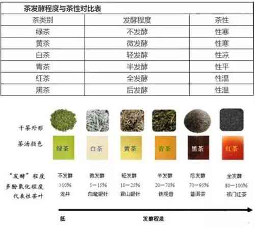 探究普洱茶的发酵过程：全发酵与半发酵的异同