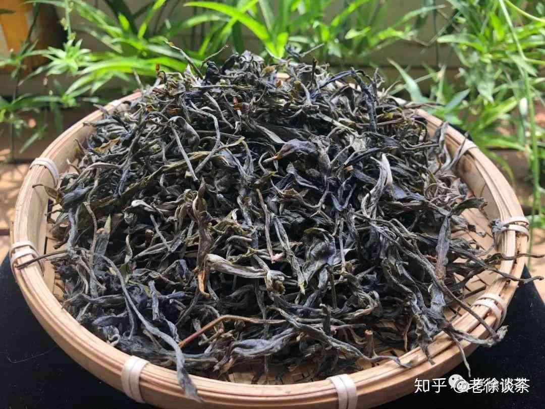 乌金茶：澜沧古茶2020年价格上涨的原因与品质特点解析