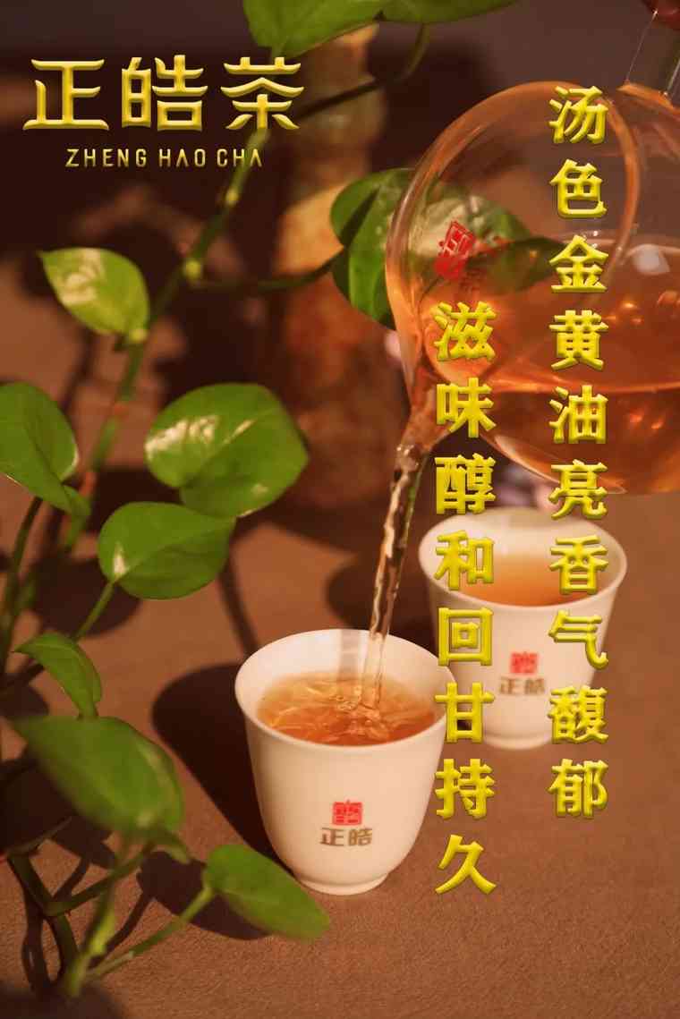 国浩普洱茶大班章