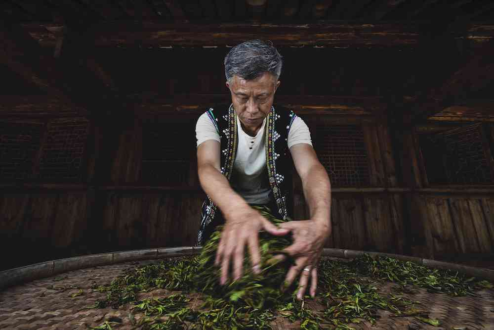 普洱茶制茶技艺贡茶制作技艺