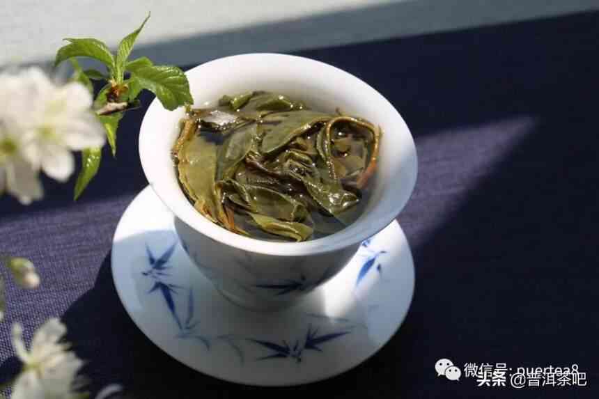 普洱景迈茶：品茗、了解普洱茶文化与购买茶叶的一站式体验