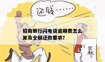 招商银行闪电贷还款时间及宽限期详解，逾期会有什么后果？