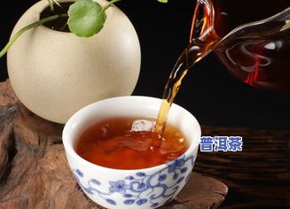 普洱茶与白茶混合饮用的好处、禁忌及搭配方法