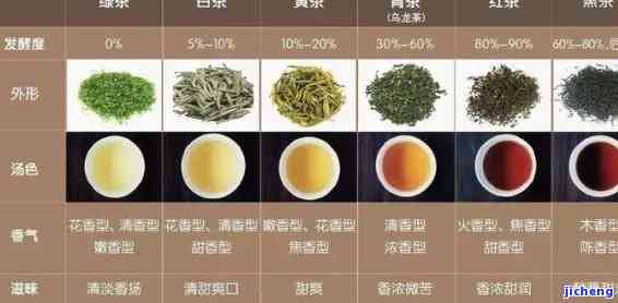 探索普洱茶世界：揭秘十大顶级茶品与品种排行榜