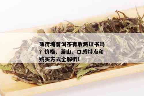 普洱茶薄荷塘：哪个茶山出产的？产地特点与品饮方法一览