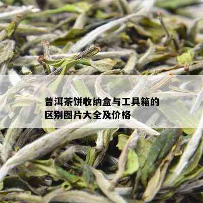 普洱茶饼收纳盒藤编