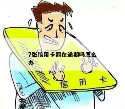 七张信用卡逾期怎么还