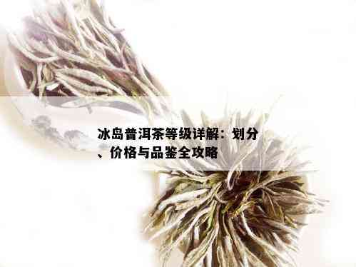 冰岛普洱茶核心排行榜：全方位指南助你挑选普洱茶