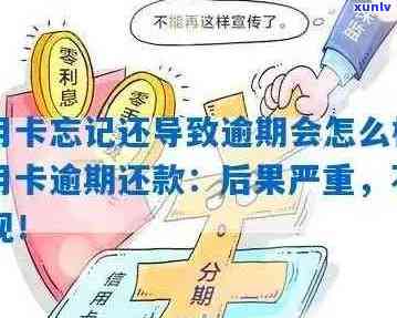 信用卡权益逾期怎么办