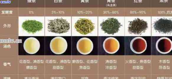 新 '绿茶、乌龙茶与普洱茶：口感对比，寻找喝的茶'