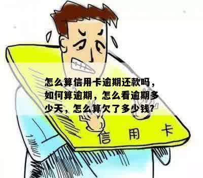 新'12月还款期，逾期了该怎么办？'