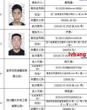 网贷逾期：信息公示与失信名单，还款义务与平台权利