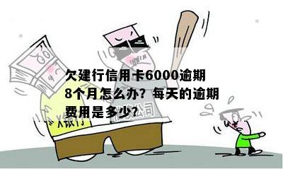 建设银行信用卡逾期6000元的后果及每天罚金计算方式解析