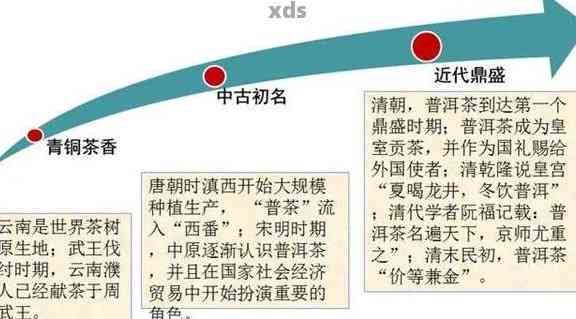 探寻普洱茶的厚重文化与深远发展：一部不可忽视的历长河