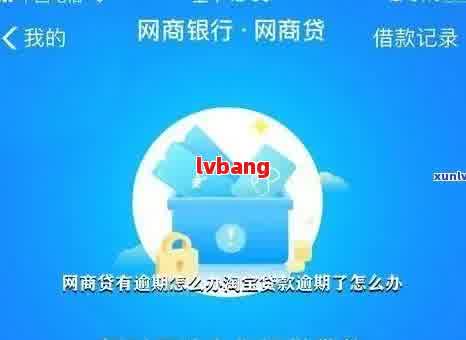 网商银行逾期还款后的影响及解决办法：用户是否还能继续使用该行服务？