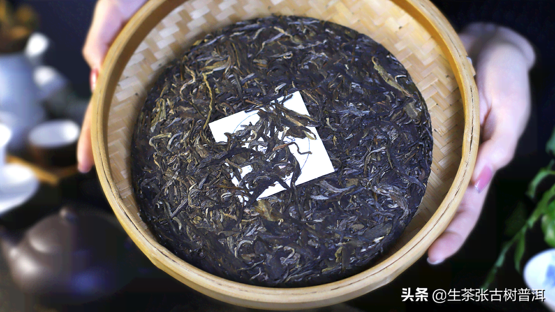 陈普号云南茶业：传承古法的普洱茶